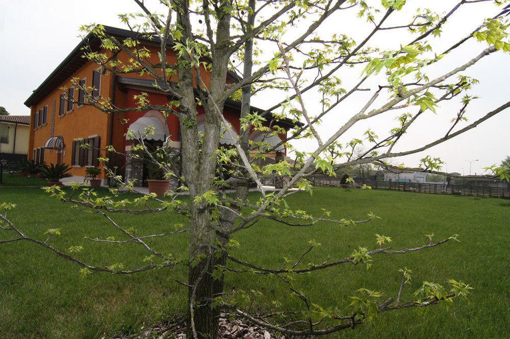 Agriturismo Bacche Di Bosco Verona Exterior photo